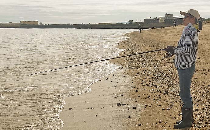 夕マヅメのサヨリ釣りで本命24匹手中【三重・吉崎海岸】刺身や天ぷらに舌鼓