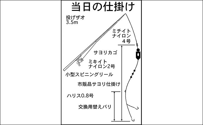 夕マヅメのサヨリ釣りで本命24匹手中【三重・吉崎海岸】刺身や天ぷらに舌鼓