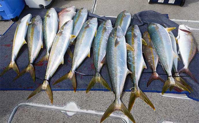 落とし込み釣り（食わせサビキ・タテ釣り）シーズン到来　キホンをおさらいしておこう