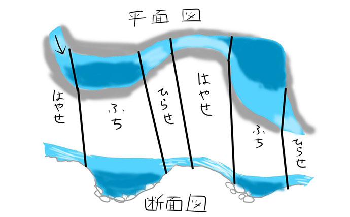 河川の魚たちを支える「瀬」と「淵」の秘密　川の流れが生き物に与える重要な役割とは？