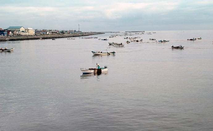 貝殻島で行われる「サオマエコンブ漁」　ロシアへ入漁料を払って操業する必要あり？