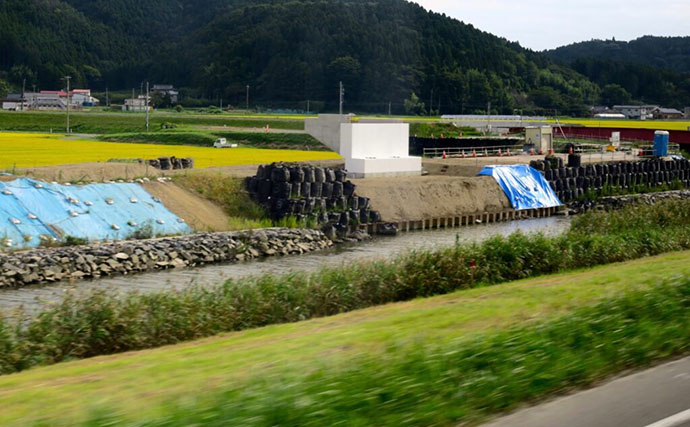 河川の魚たちを支える「瀬」と「淵」の秘密　川の流れが生き物に与える重要な役割とは？