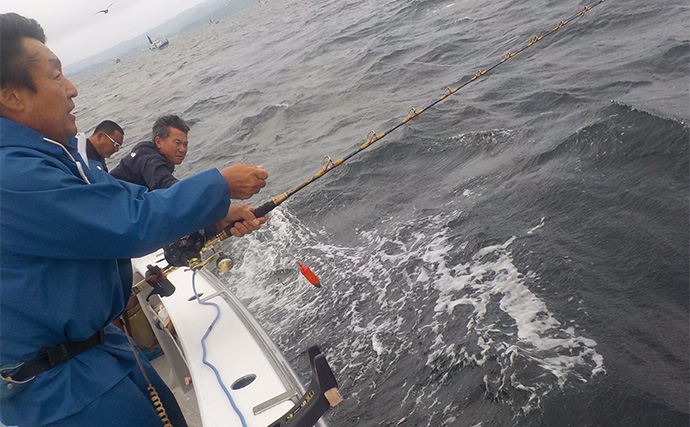 相模湾コマセ釣りで30kg級キハダマグロが浮上【神奈川・洋征丸】好調キープ！