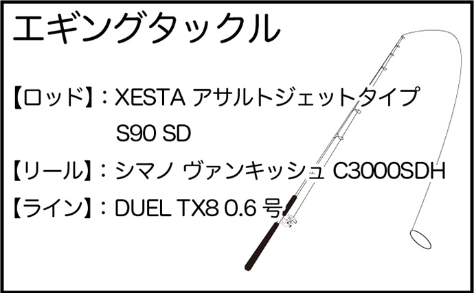 秋のエギングシーズン開幕【静岡・伊豆】新子調査で700gアオリイカをキャッチ