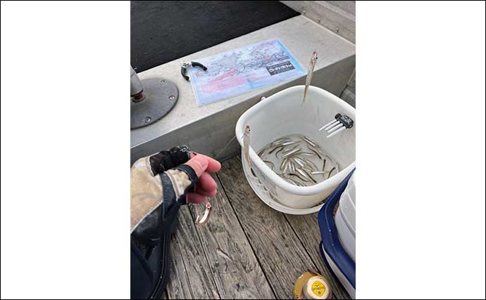 海鮮物が苦手な釣り人でも美味しく食べれた釣り魚4選　琵琶湖の固有種の美味しさにビックリ