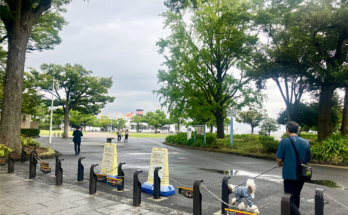 横浜の観光名所『山下公園』でヘチ（落とし込み）釣りしたらメジナが釣れた！