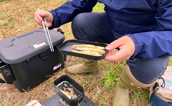 江戸川放水路での陸っぱりハゼ釣りでマハゼ29尾【千葉】釣ったハゼでデイキャンプを満喫