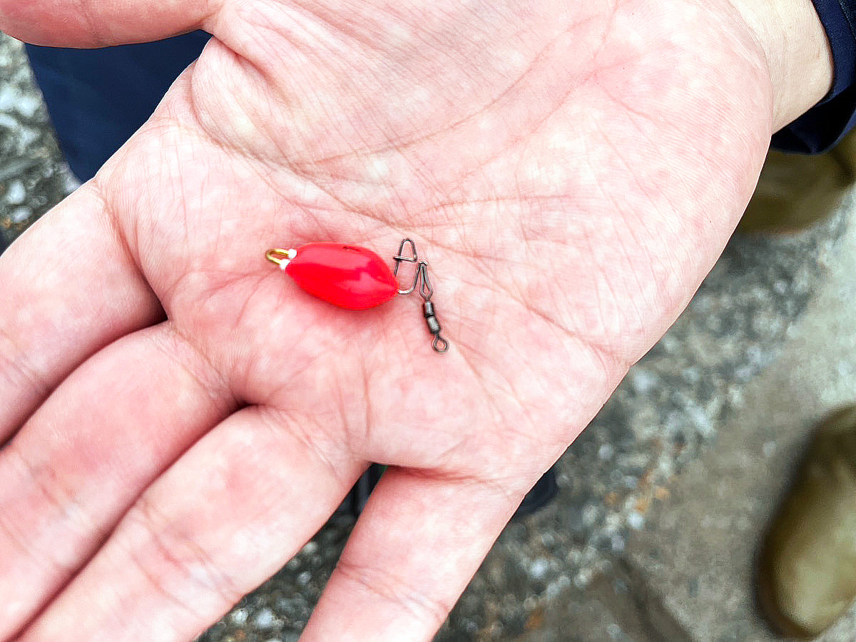 江戸川放水路での陸っぱりハゼ釣りでマハゼ29尾【千葉】釣ったハゼでデイキャンプを満喫