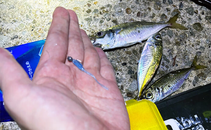 垂水漁港でのアジング釣行で豆アジ連発【兵庫】サイズ小さく軽量リグで攻略