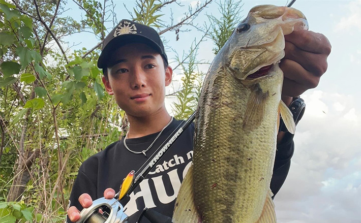 a11b4bb3ba448d1fa402ac3dc62cc9