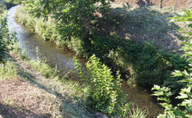 河川の魚たちを支える「瀬」と「淵」の秘密　川の流れが生き物に与える重要な役割とは？