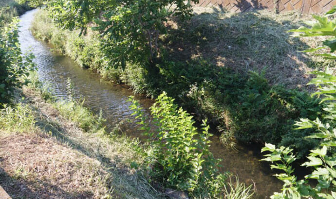 河川の魚たちを支える「瀬」と「淵」の秘密　川の流れが生き物に与える重要な役割とは？