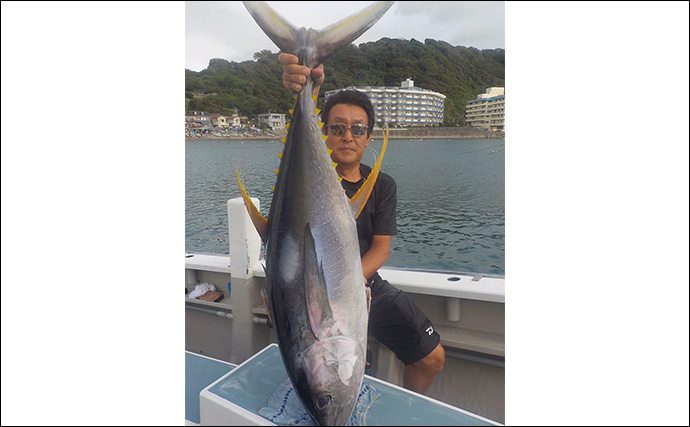 相模湾コマセ釣りで30kg級キハダマグロが浮上【神奈川・洋征丸】好調キープ！