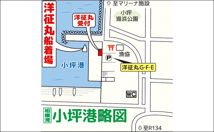 相模湾コマセ釣りで30kg級キハダマグロが浮上【神奈川・洋征丸】好調キープ！