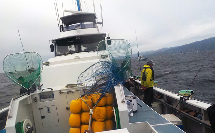 相模湾コマセ釣りで30kg級キハダマグロが浮上【神奈川・洋征丸】好調キープ！