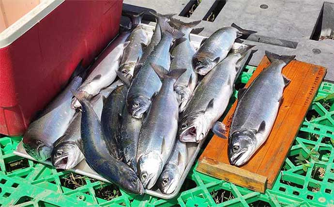 海鮮物が苦手な釣り人でも美味しく食べれた釣り魚4選　琵琶湖の固有種の美味しさにビックリ