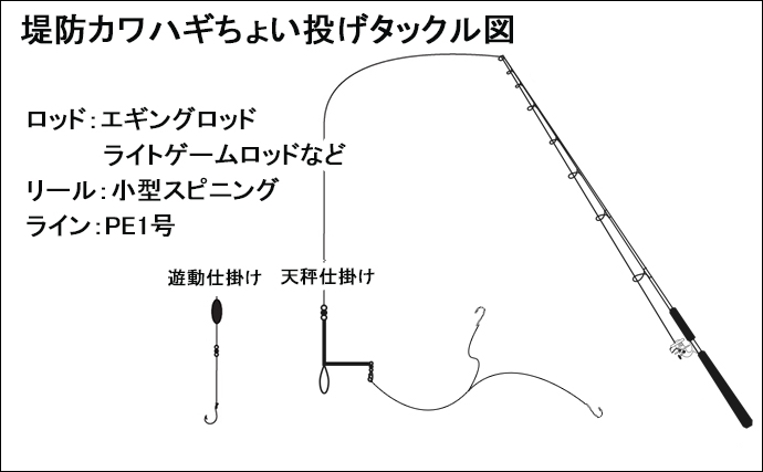 堤防カワハギ釣りの時期到来【胴付き＆ちょい投げの仕掛け・タックル・釣り方解説】