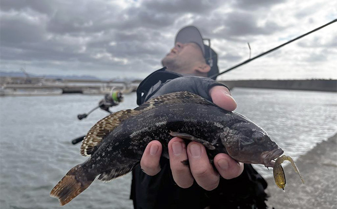 秋の堤防ロックフィッシュゲームで45cm級アイナメをキャッチ【北海道・噴火湾】軽いリグが奏功