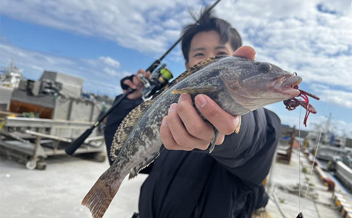 秋の堤防ロックフィッシュゲームで45cm級アイナメをキャッチ【北海道・噴火湾】軽いリグが奏功