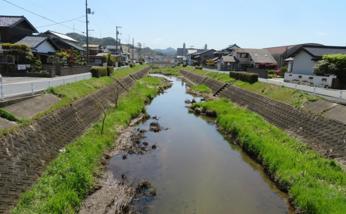 漁協が市を刑事告訴　理由は「河川改修工事のせいで魚が採れなくなったから」？