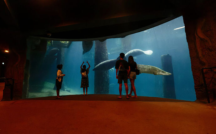 「規模も完成度も圧倒的！」世界最大級の水族館『River Wonders』を歩く　パンダまで展示？