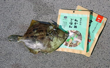 「ふりかけ」はカワハギ釣りと相性抜群？【釣り飯・釣魚グルメが簡単ひと手間で絶品料理に】