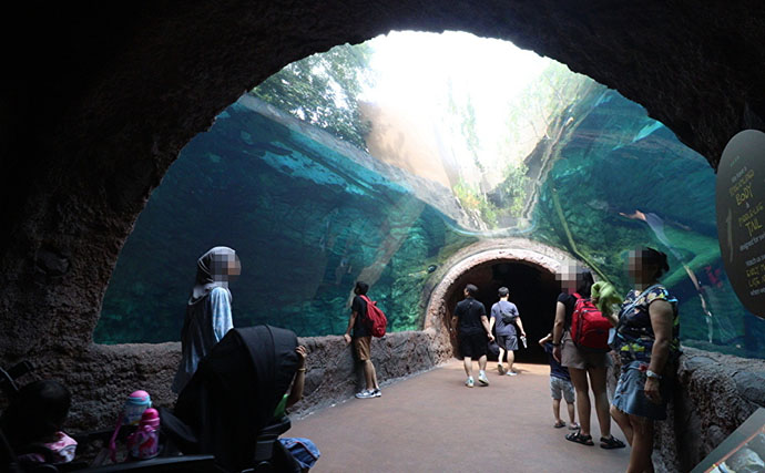 「規模も完成度も圧倒的！」世界最大級の水族館『River Wonders』を歩く　パンダまで展示？