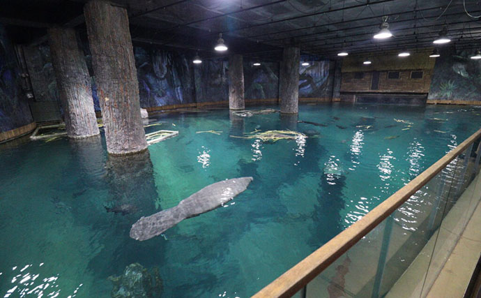 「規模も完成度も圧倒的！」世界最大級の水族館『River Wonders』を歩く　パンダまで展示？