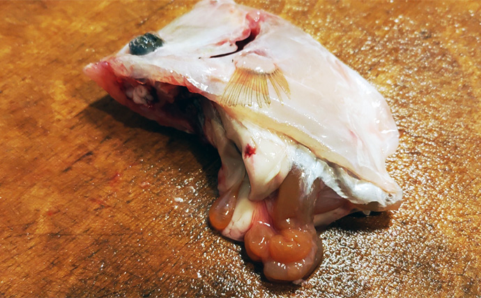 美味魚「カワハギ」の刺身と肝を【最高に美味しく食べる方法】徹底した温度管理が決め手