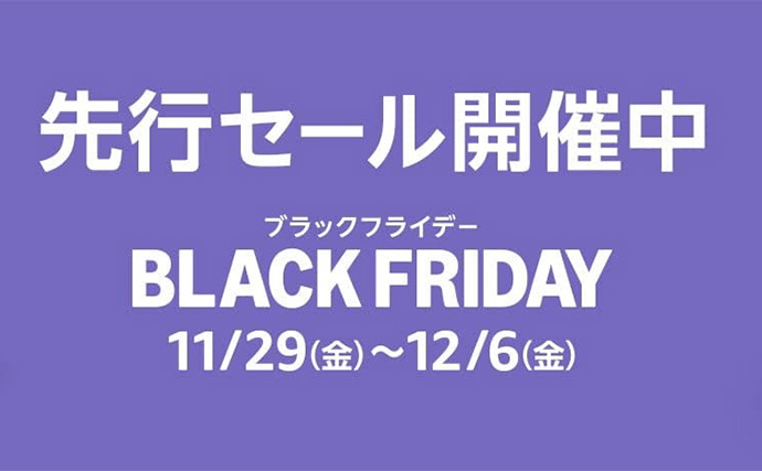 Amazonブラックフライデー2024の攻略法と注目カテゴリを紹介【11月29日（金）から開催】