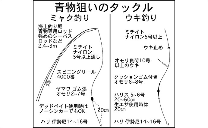 海上釣り堀で【ブリ・ヒラマサ・カンパチを狙い撃ちする方法】魚種ごとに最適なエサとは？