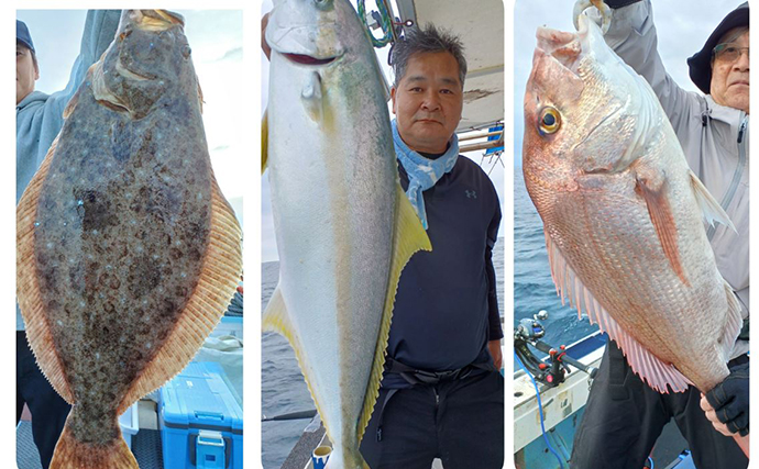 【落とし込み釣果速報】エサ付き良好で良型ヒラマサにサワラなどでクーラー満タン！（福岡）