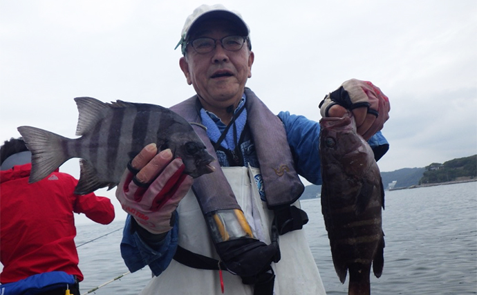 【船釣り釣果速報】ウタセ五目釣りでイシダイ交じりに多彩魚種が好反応（愛知・静岡）