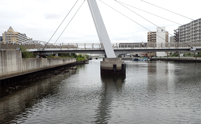 汐見運河での落とし込み釣りでキビレをキャッチ【東京】良型マハぜも好反応