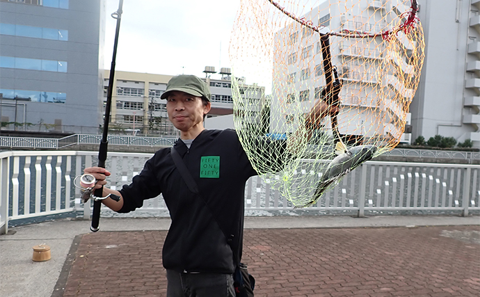 汐見運河での落とし込み釣りでキビレをキャッチ【東京】良型マハぜも好反応