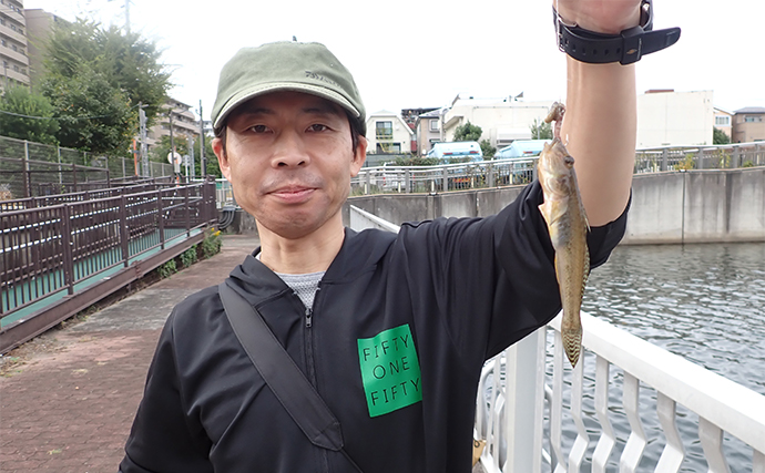 汐見運河での落とし込み釣りでキビレをキャッチ【東京】良型マハぜも好反応