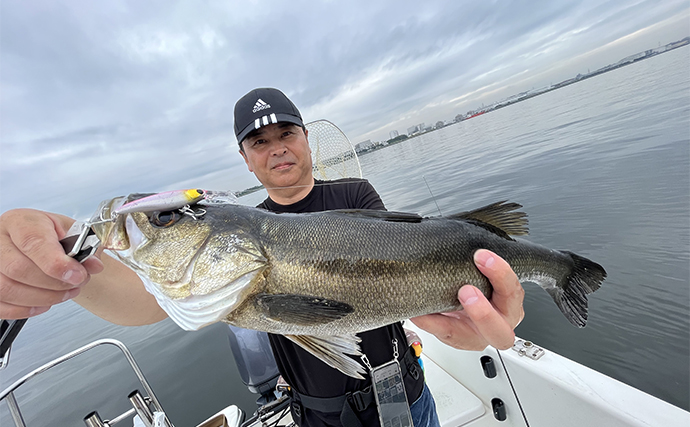 「秋のボートルアーシーバス釣りが開幕！」50cm級が連続ヒット【愛知・三河湾】