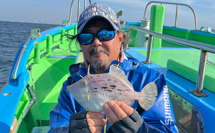 船カワハギ釣りで18尾キャッチ【神奈川・一之瀬丸】底から50cm上を狙い撃つと連発