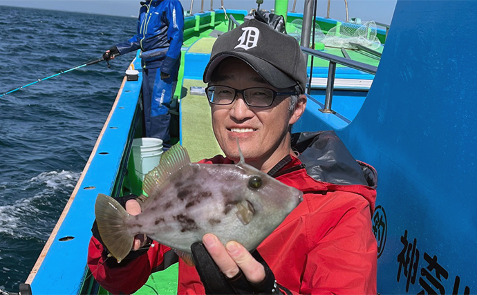 船カワハギ釣りで18尾キャッチ【神奈川・一之瀬丸】底から50cm上を狙い撃つと連発