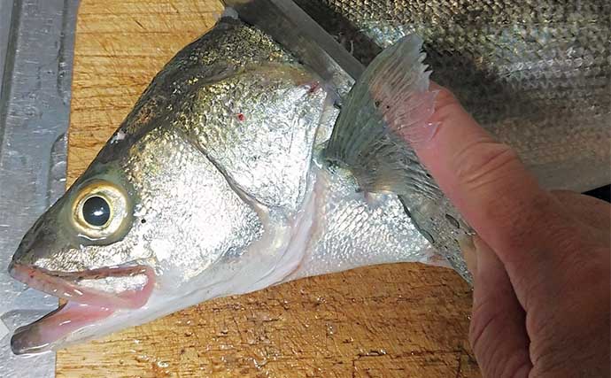 釣魚で作る「血液サラサラ」レシピ：フッコの吸い物　加熱時間はたったの3分