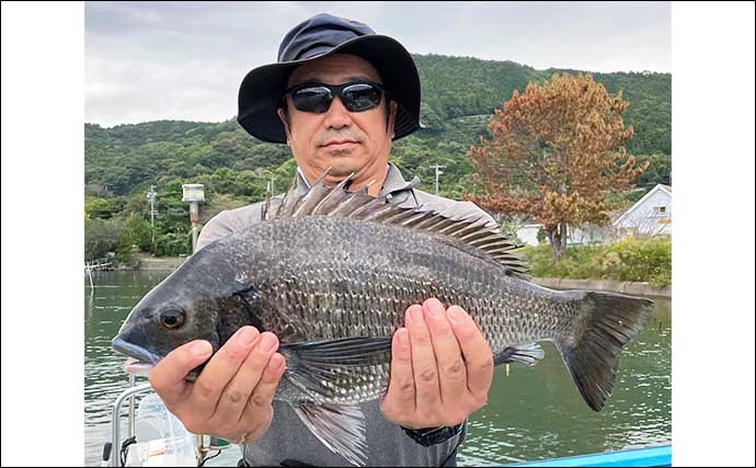 【かかり釣り釣果速報】ダンゴ釣りでクロダイ20匹オーバーと数釣り好機！（三重）