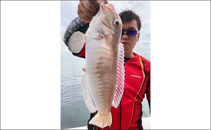 【沖釣り釣果速報】タイラバで70cm級含みマダイが入れ食い！（大分・熊本）