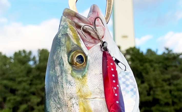 ショアルアー16本セット ジャッカル青物サワラシーバス 海釣りルアー