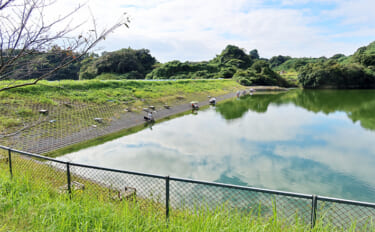 今週のヘラブナ推薦釣り場2024【静岡・七曲の池】