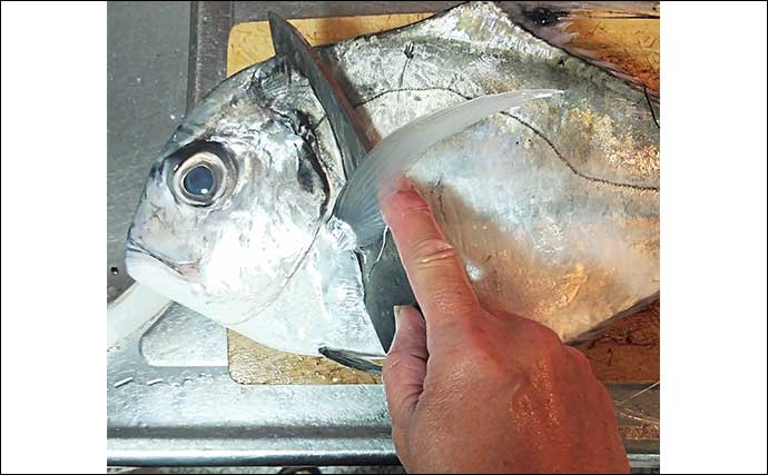 釣った魚で作る「ご飯のお供」レシピ：イトヒキアジのみりん干し　7～8時間干せばOK