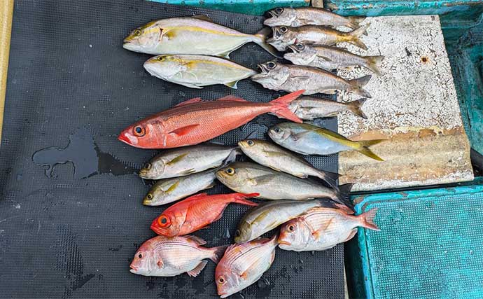 中深海ジギングとカゴ釣りのリレー便でクロムツにウメイロにシオ【和歌山・那智勝浦】