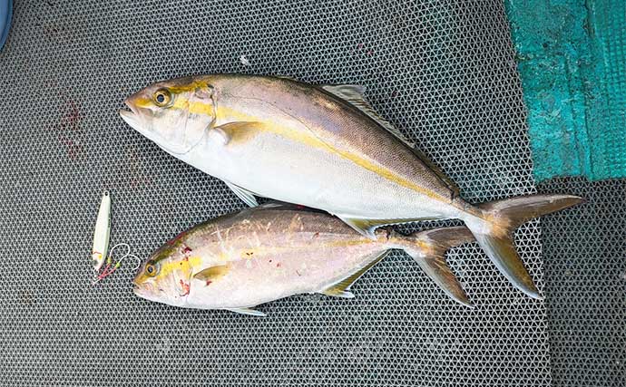 中深海ジギングとカゴ釣りのリレー便でクロムツにウメイロにシオ【和歌山・那智勝浦】