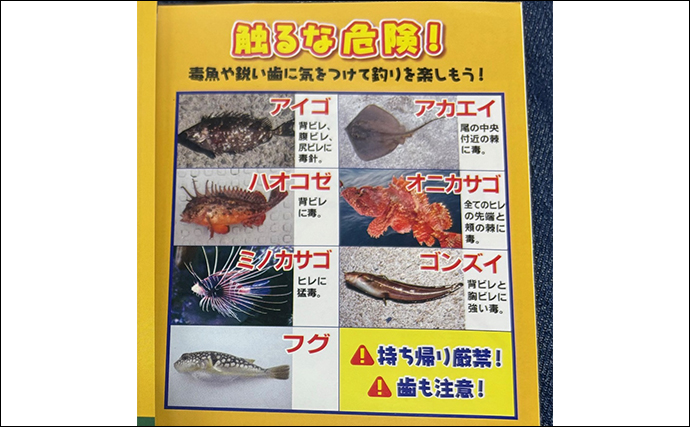 「沿岸で釣れる注意すべき毒魚」をテーマに大人が自由研究レポートを書いてみた