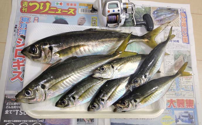 東京湾・走水でのレンタルボート釣りで38cm筆頭に良型アジを好捕【神奈川・斉田ボート店】