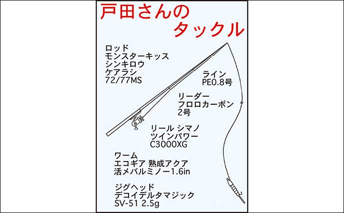 新川でのルアーシーバス釣りで30cm級頭にセイゴが好反応【愛知】ゲストのウグイは良型